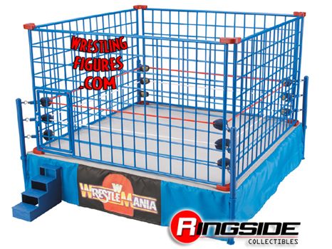 SCALE_RING_AND_CAGE_2