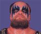 THE WARLORD