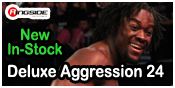 DELUXE AGGRESSION 24 WWE TOY WRESTLING ACTION FIGURES BY JAKKS PACIFIC