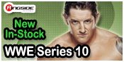 WWE SERIES 10 TOY WRESTLING ACTION FIGURES