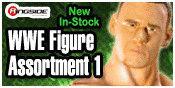 MATTEL WWE FIGURE ASSORTMENT 1 TOY WRESTLING ACTION FIGURES