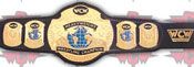 WCW REPLICA WRESTLING BELTS