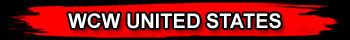 WWE REPLICA WRESTLING BELTS