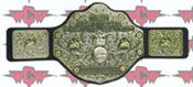 WWE REPLICA WRESTLING BELTS