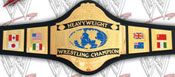 WWE REPLICA WRESTLING BELTS
