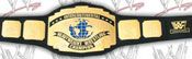 WWE REPLICA WRESTLING BELTS