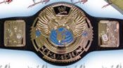 WWE REPLICA WRESTLING BELTS