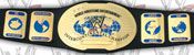WWE REPLICA WRESTLING BELTS