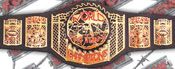 WWE REPLICA WRESTLING BELTS