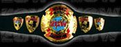 WWE REPLICA WRESTLING BELTS