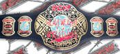 WWE REPLICA WRESTLING BELTS