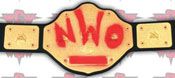 WWE REPLICA WRESTLING BELTS