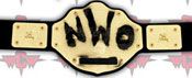 WWE REPLICA WRESTLING BELTS