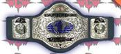 WWE REPLICA WRESTLING BELTS