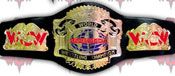 WWE REPLICA WRESTLING BELTS