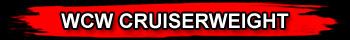 WWE REPLICA WRESTLING BELTS