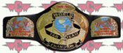 WWE REPLICA WRESTLING BELTS