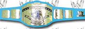 WWE REPLICA WRESTLING BELTS