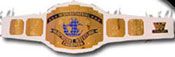 WWE REPLICA WRESTLING BELTS