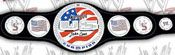 WWE REPLICA WRESTLING BELTS