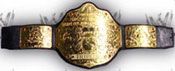 WWE REPLICA WRESTLING BELTS