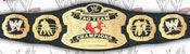 WWE REPLICA WRESTLING BELTS