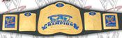 WWE REPLICA WRESTLING BELTS