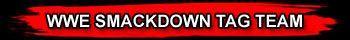 WWE REPLICA WRESTLING BELTS