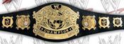 WWE REPLICA WRESTLING BELTS