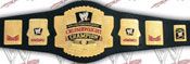 WWE REPLICA WRESTLING BELTS