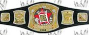 WWE REPLICA WRESTLING BELTS