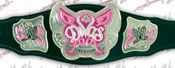 WWE REPLICA WRESTLING BELTS