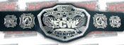 WWE REPLICA WRESTLING BELTS