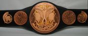 WWE REPLICA WRESTLING BELTS