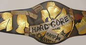 WWE REPLICA WRESTLING BELTS