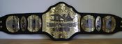 TNA REPLICA WRESTLING BELTS