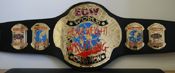 ECW REPLICA WRESTLING BELTS