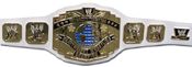 WWE REPLICA WRESTLING BELTS