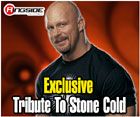 TRIBUTE TO STONE COLD STEVE AUSTIN EXCLUSIVE WWE TOY WRESTLING ACTION FIGURES BY JAKKS PACIFIC