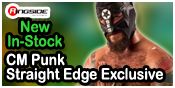 CM PUNK RINGSIDE COLLECTIBLES ELITE STYLE EXCLUSIVE WWE TOY WRESTLING ACTION FIGURE BY MATTEL