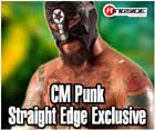 CM PUNK EXCLUSIVE WWE TOY WRESTLING ACTION FIGURES BY MATTEL
