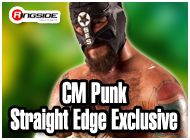 CM PUNK EXCLUSIVE WWE TOY WRESTLING ACTION FIGURES BY MATTEL