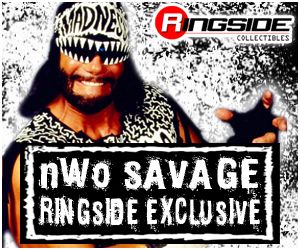 http://www.ringsidecollectibles.com/Merchant2/graphics/00000001/rex_033_logo_pwinsider.jpg