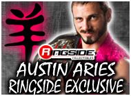 AUSTIN ARIES EXCLUSIVE TOY WRESTLING ACTION FIGURES BY JAKKS PACIFIC