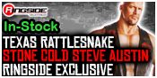 TEXAS RATTLESNAKE STONE COLD STEVE AUSTIN RINGSIDE COLLECTIBLES EXCLUSIVE WWE TOY WRESTLING ACTION FIGURE BY MATTEL