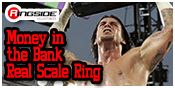 REAL SCALE MONEY IN THE BANK