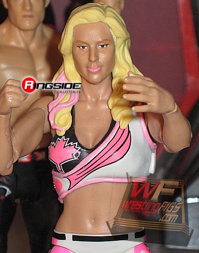 Ringside Fest 2010 WWE Mattel