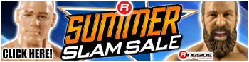 http://www.ringsidecollectibles.com/Merchant2/graphics/00000001/summerslam_2013_sale_logo.jpg