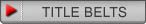 WWE TITLE BELTS