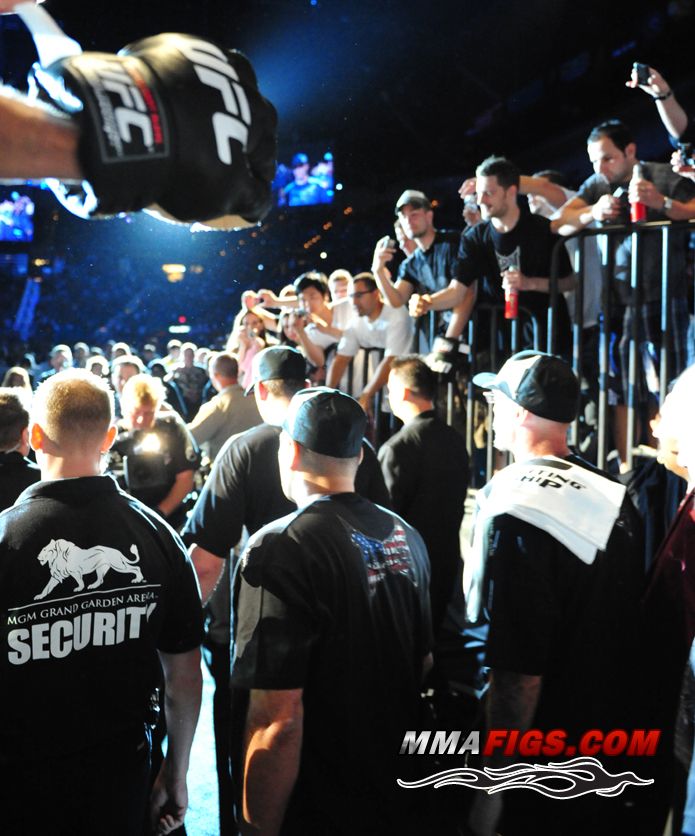 http://www.ringsidecollectibles.com/Merchant2/graphics/00000001/ufc_gloves_2.jpg